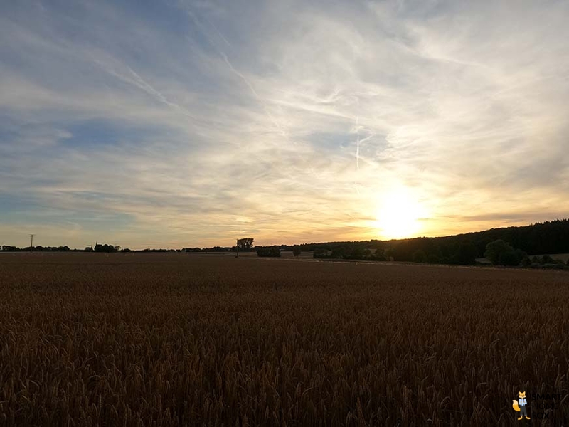 Man sieht eine Aufnahme, die mit der GoPro Hero 9 im Zoom-Modus gemacht wurde.